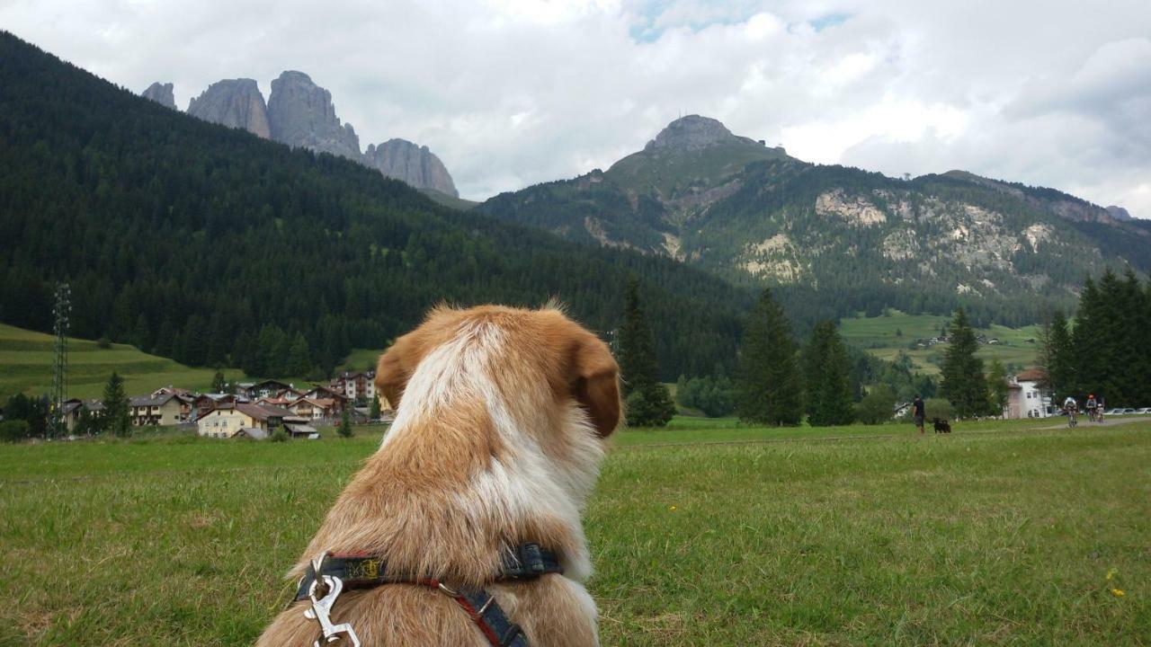 Apartmán Casamau Trilo Campitello di Fassa Exteriér fotografie