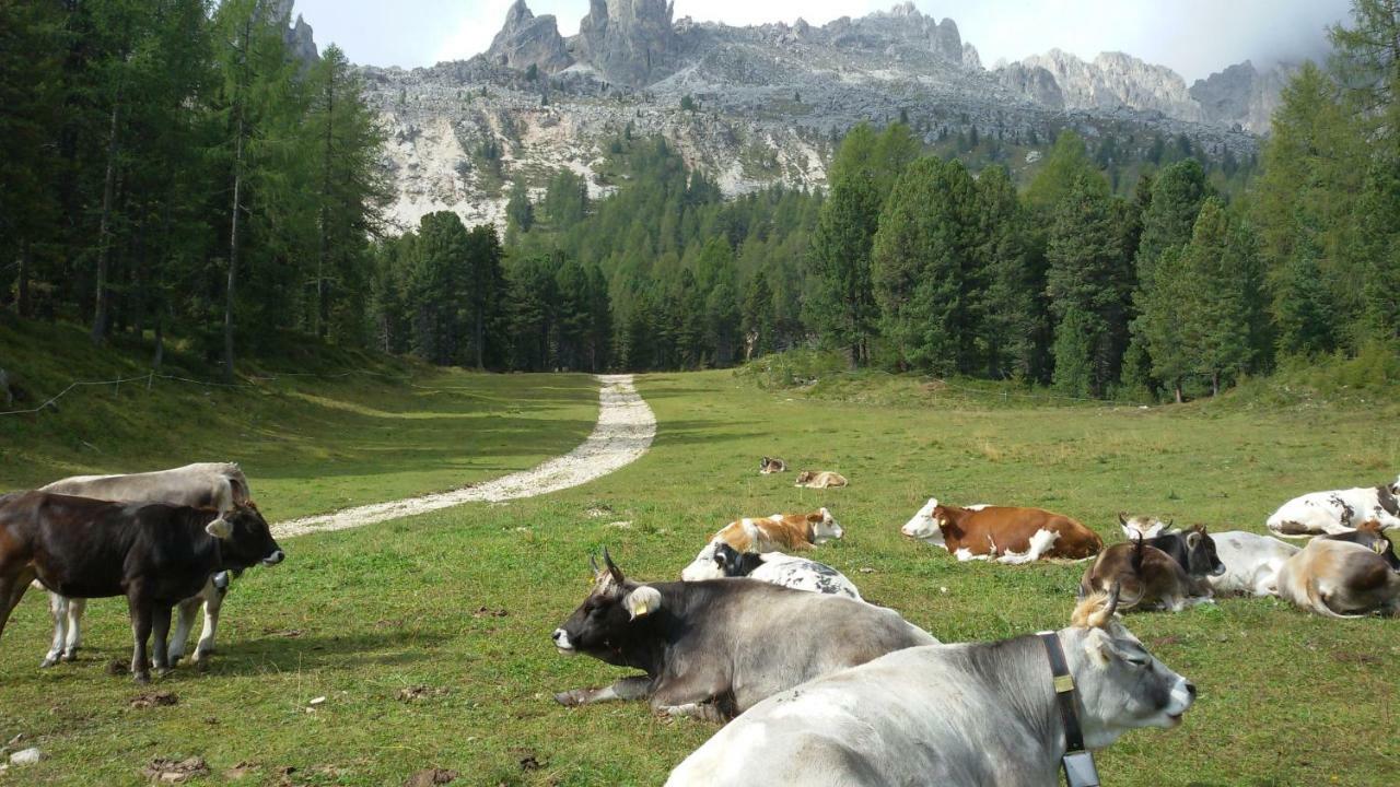 Apartmán Casamau Trilo Campitello di Fassa Exteriér fotografie